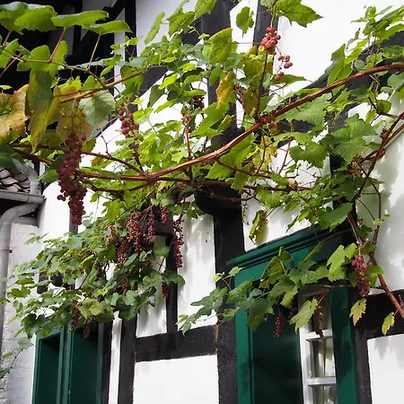 法尔德霍夫酒店